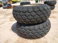 (2) Boll Buggy Wheels/Tires