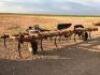 KRAUSE 2500 20’ 3 PT. CHISEL PLOW