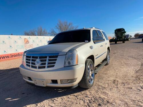 ~2010 Cadillac Escalade Multipurpose Vehicle