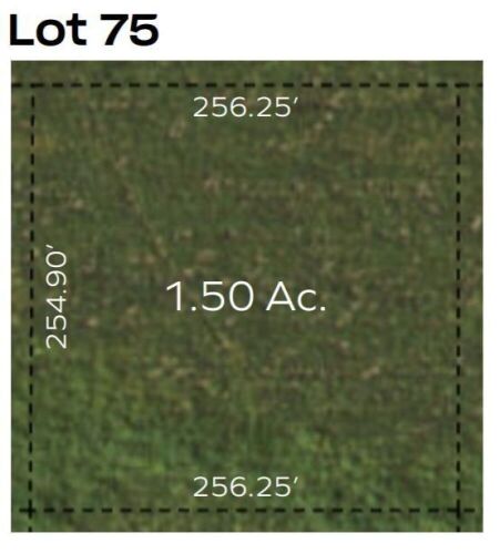 Residential Lot 75 From 4 Corner Estates