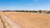 Residential Lot 55 Country Side Estates