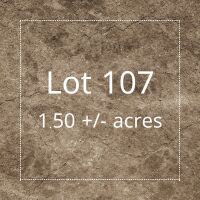 Residential Lot 107 Four Corners Estates