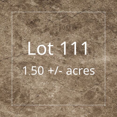 Residential Lot 111 Four Corners Estates