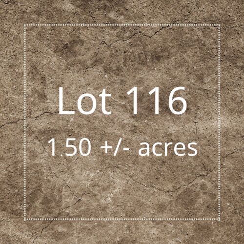 Residential Lot 116 Four Corners Estates