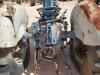 Tractor, 4Cyl Gas Engine, Missing Parts - 10