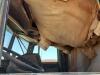 1989 Freightliner Truck w/Water Tank - 22
