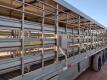 2021 Amacsa Livestock Gooeneck Trailer - 17