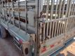 2021 Amacsa Livestock Gooeneck Trailer - 23