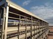 2021 Amacsa Livestock Gooeneck Trailer - 28