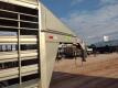 2021 Amacsa Livestock Gooeneck Trailer - 32