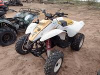 Polaris 250 ATV