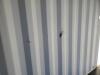 Unused 40ft High Cube Multi-Door Container - 12