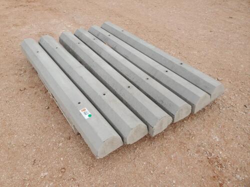 (6) Cement Parking Blocks