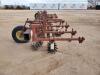 Lilliston Rolling Cultivator - 2