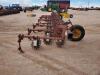 Lilliston Rolling Cultivator - 5