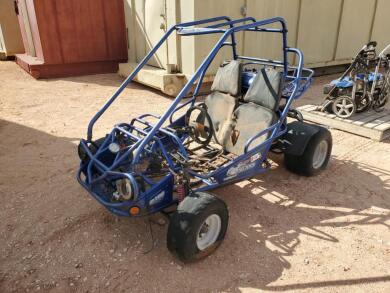Trail Master150XRS Go Cart