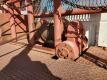1975 Ford Roustabout Truck VIN F37MLX32002 - 16