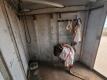 2002 Exiss Horse Trailer - 25