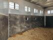 2002 Exiss Horse Trailer - 27