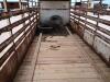 Gooseneck Livestock Trailer - 10