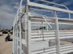 Bumper Pull Single Axle Livestock Trailer - 13