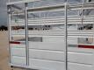 Bumper Pull Single Axle Livestock Trailer - 14