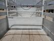 Bumper Pull Single Axle Livestock Trailer - 15
