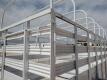 Bumper Pull Single Axle Livestock Trailer - 16