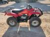 Honda ATV - 6