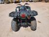 Yamaha Grizzly ATV - 4