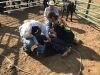 BIG MULEE RANCH - 46