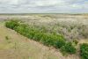 Big Mulee Ranch - 3