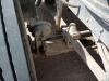 1994 Kenworth T600 Truck Tractor - 35