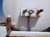 2012 Hercules 130 BBL Vacuum Tank Trailer - 7