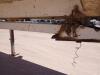 1996 Lufkin End Dump Trailer - 22