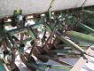 12Ft John Deere 168B Seed Drill - 8