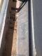 12Ft John Deere 168B Seed Drill - 14