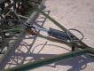 12Ft John Deere 168B Seed Drill - 6