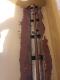 6Ft Land Pride 1572 Seed Drill - 8