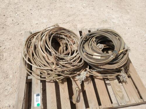 Misc Roping Ropes