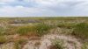 649 Ac+/- Native Grass land Located in Plains TX - 7