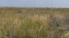 649 Ac+/- Native Grass land Located in Plains TX - 9