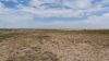 649 Ac+/- Native Grass land Located in Plains TX - 10