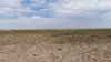 649 Ac+/- Native Grass land Located in Plains TX - 11