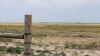 649 Ac+/- Native Grass land Located in Plains TX - 14