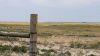 649 Ac+/- Native Grass land Located in Plains TX - 15
