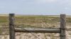 649 Ac+/- Native Grass land Located in Plains TX - 16