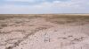 649 Ac+/- Native Grass land Located in Plains TX - 29