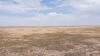 649 Ac+/- Native Grass land Located in Plains TX - 31