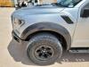 2017 Ford F-150 Raptor - 10